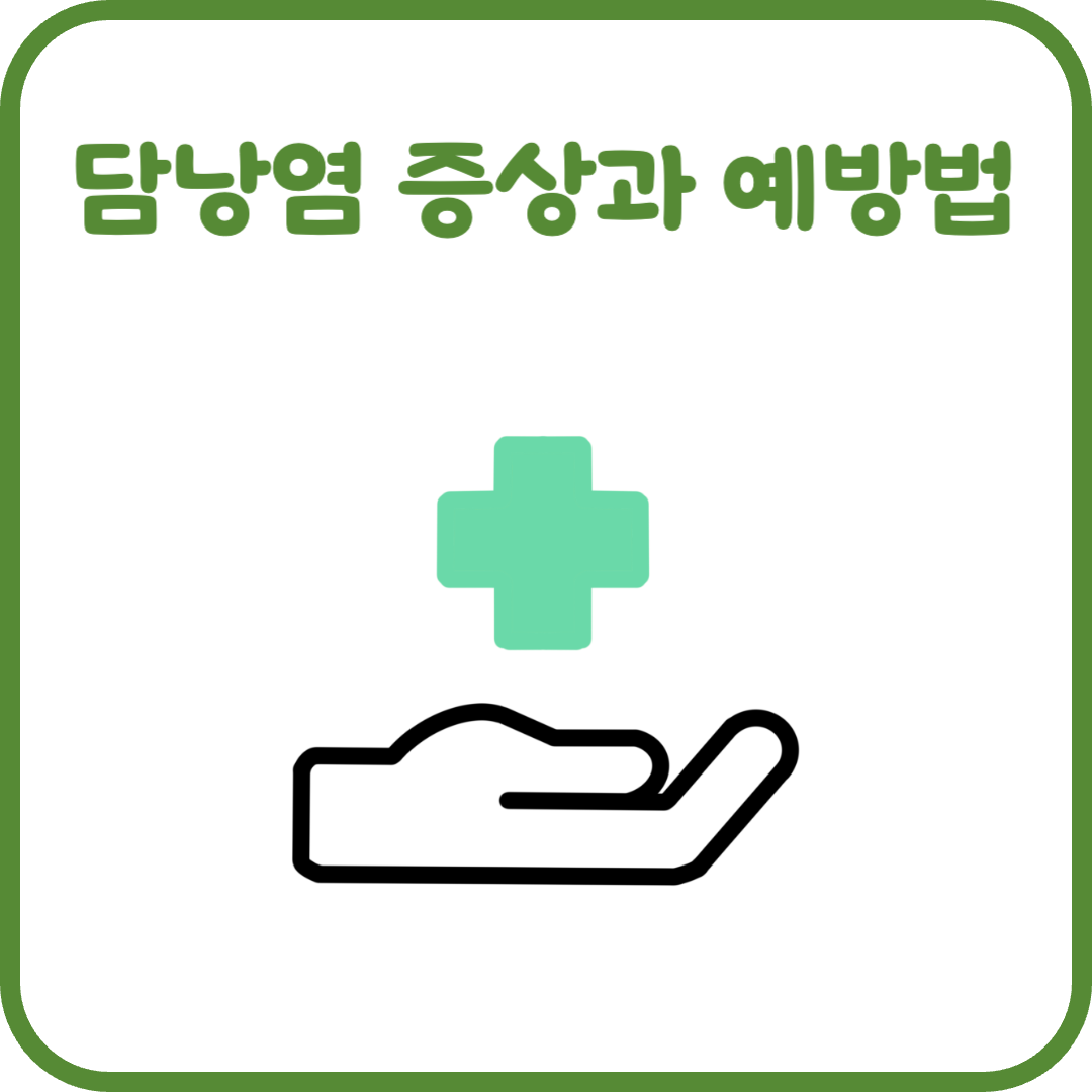 담낭염 증상