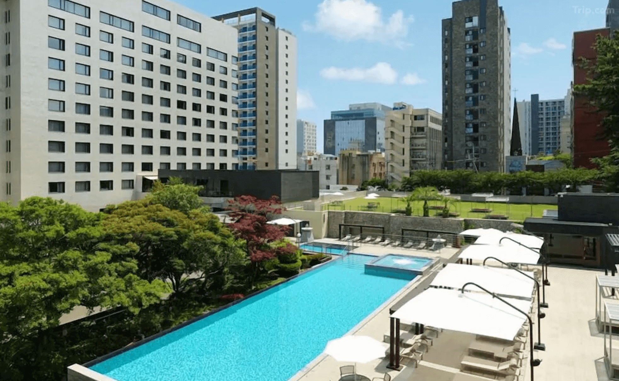 제주 메종 글래드 호텔